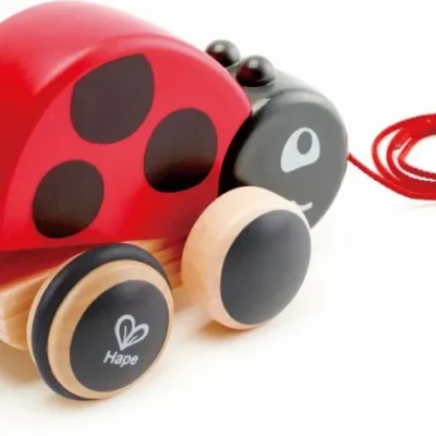 Hape Push & Pull Ξύλινη Συρόμενη Πασχαλίτσα